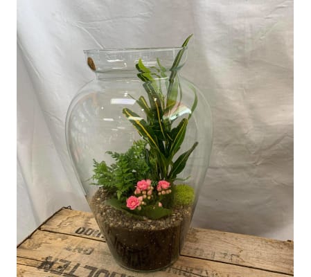 Ming Garden Terrarium Planter