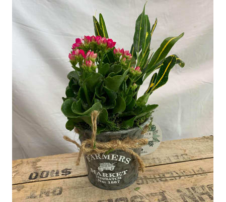 Small Sawyer Planter Garden