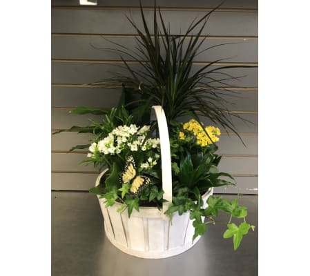 Mixed Garden Basket