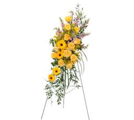 Vivid Memory Standing Spray