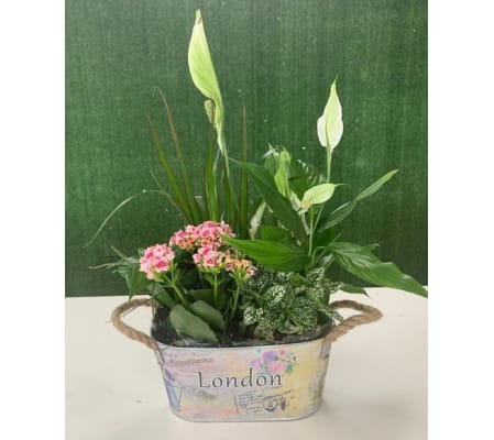 Country Garden Green Tin Basket