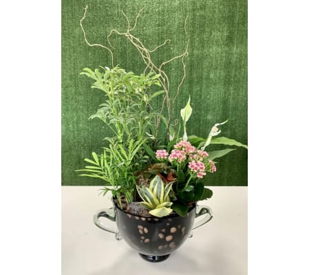 Stunning Planter in a Premium Hand Blown Polish Vase