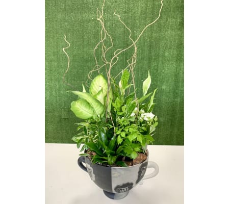 Large Planter Garden in a Premium Polish Vase with Roman Design