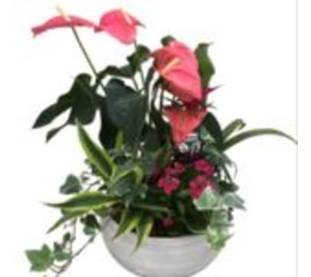 Artistic Flowering Planters