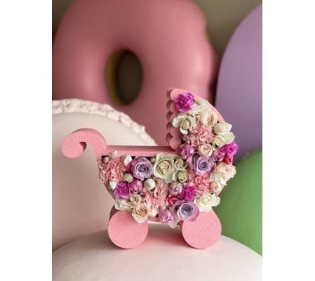 Baby Girl Carriage