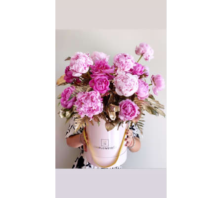 Peonies in August