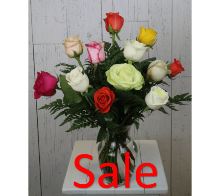 12 Mix Color Rose Arrangement