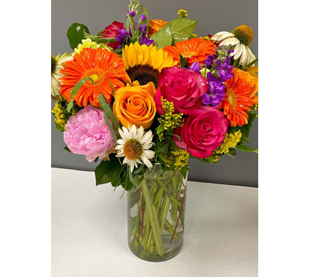 Designer Choice Bright & Colorful