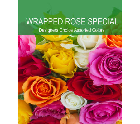 Wrapped Assorted Rose Special (designers color choice only)