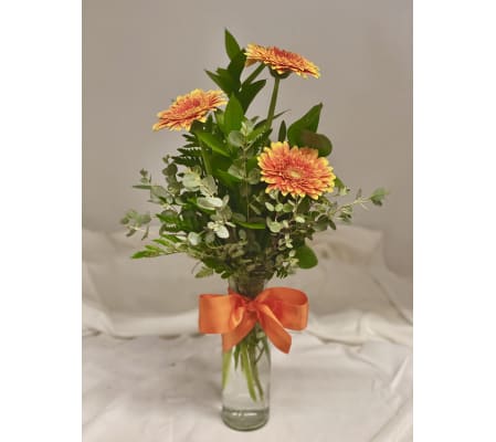 Triple Gerbera Vase