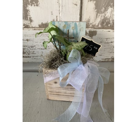 Wooden Box with Green Plant and Cross Sign