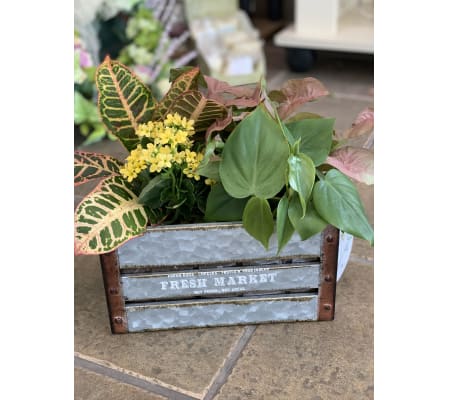 Fresh Market Planter