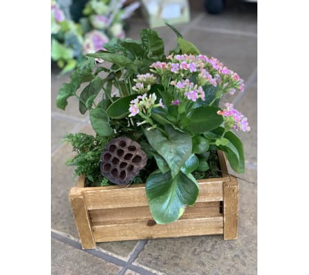 Thatcher Wooden Planter Box