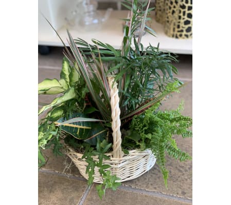 Beach Planter Garden Basket
