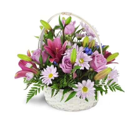 UFN Basket Full of Dreams