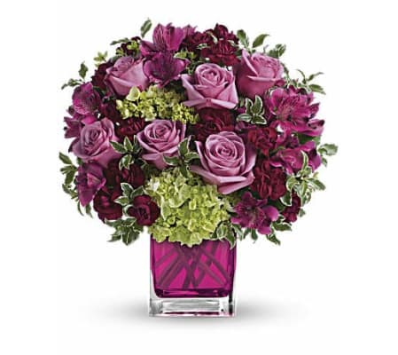 Fuchsia Delight