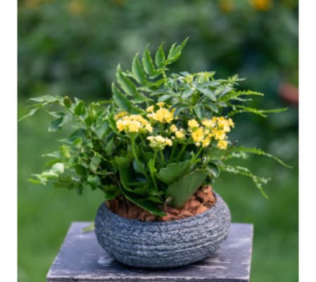 Stone Planter