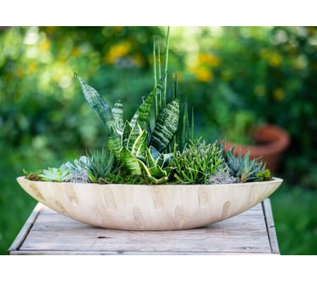 Succulent Boat Garden