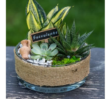 Burlap Succulent Garden