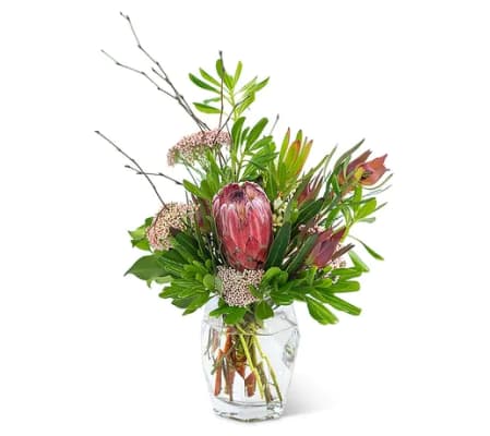 Posh Protea Bouquet