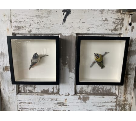 3D Bird Frame