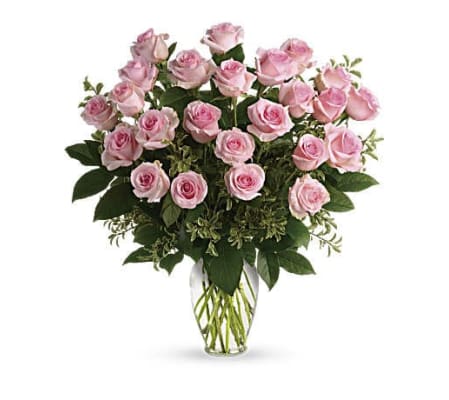 Pink Rose Dozen