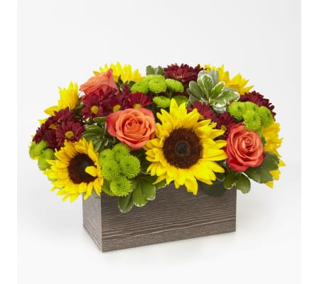 Happy Harvest Garden Wood Box