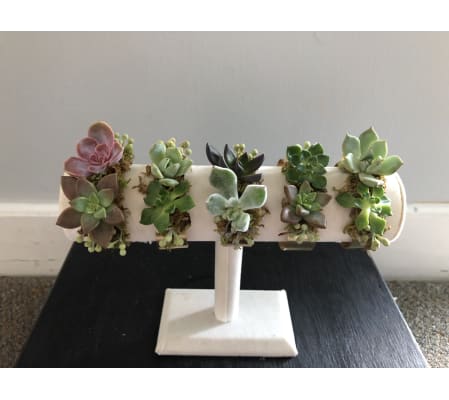 Succulent Corsage (Different Styles Shown)