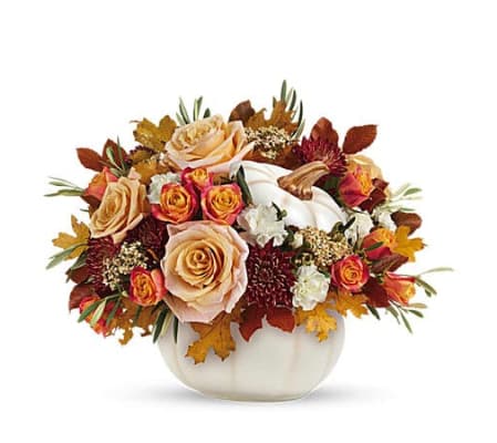 White Fall Pumpkin