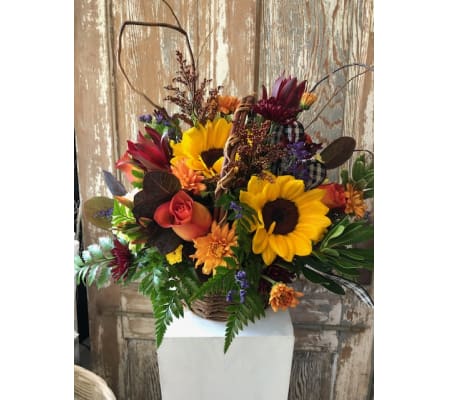 Natures Basket