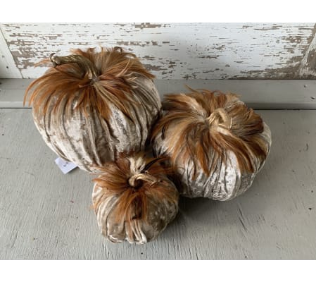 Velvet Feather Pumpkins