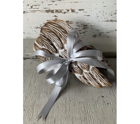 Angel Wing Set