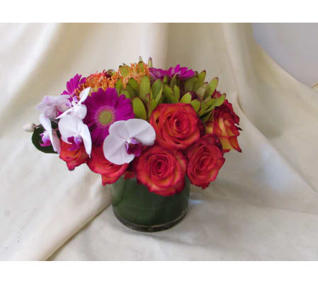 Summer Sunset for You