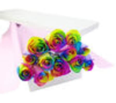 Beautiful Rainbow Roses