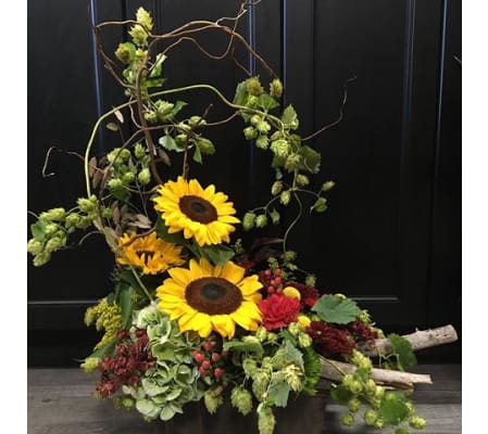 Fall Sunflowers and Hops