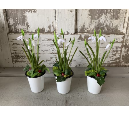 Snow Drop Tumblers