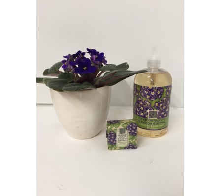Hand Soap Gift Set - African Violet & Cocoa Butter