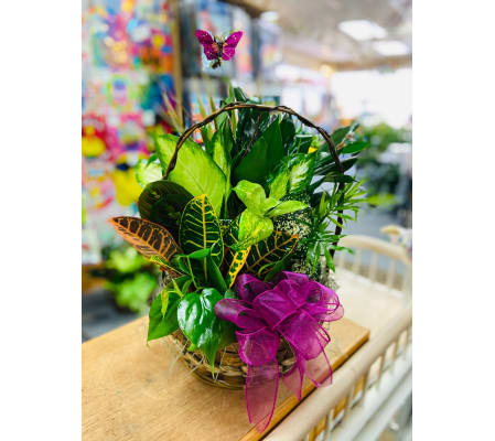 Ellington's Basket Garden - Garden Baskets and Plants Vary