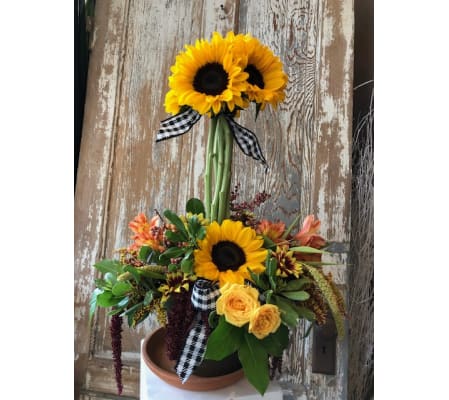 Ray of Sunshine Topiary