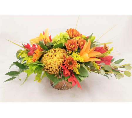 Fall Awakenings