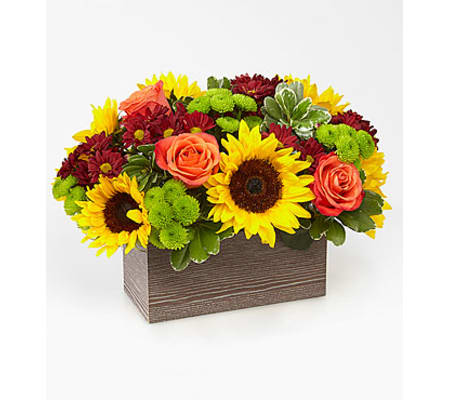 Happy Harvest Garden FTD
