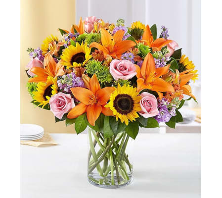Sunflowers In A Garden