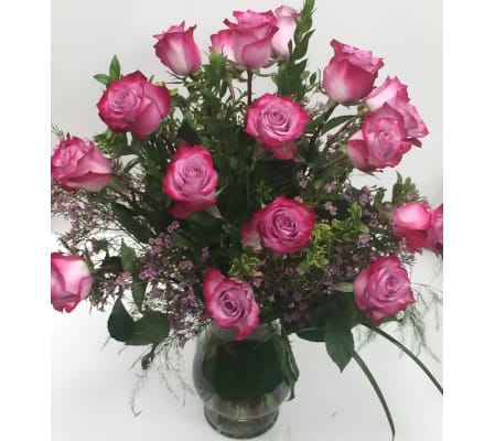 Purple Passions Roses
