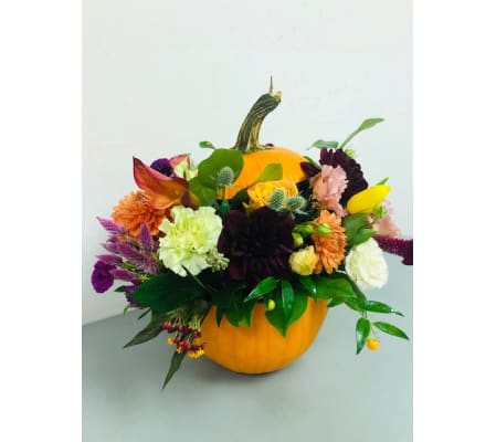 Stuffed Pumpkin Arrangement