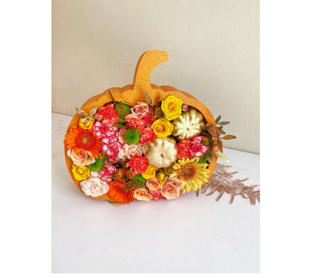 Cute Pumpkin