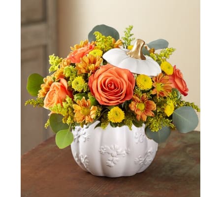 Artisan White Pumpkin