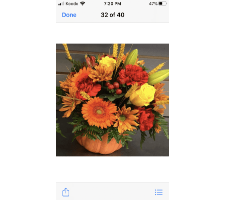 Pumpkin Centrepiece
