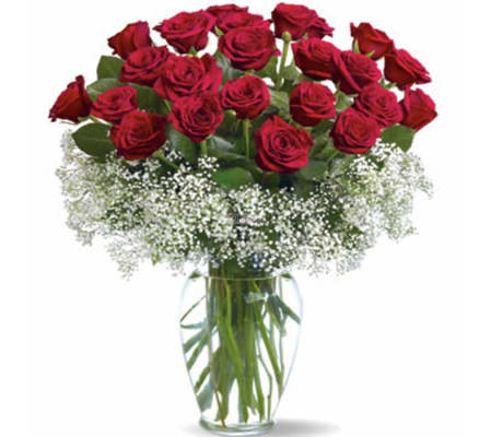 Classic Roses on a Cloud