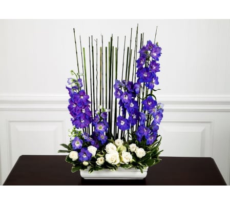Blue Delphinium Collection