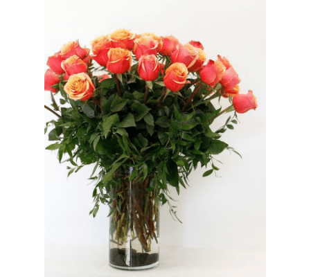 POPSICLE ROSES